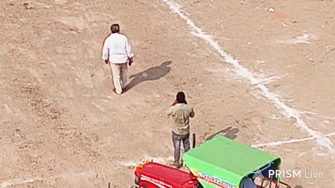 Live streaming of vikram Ongole Bulls