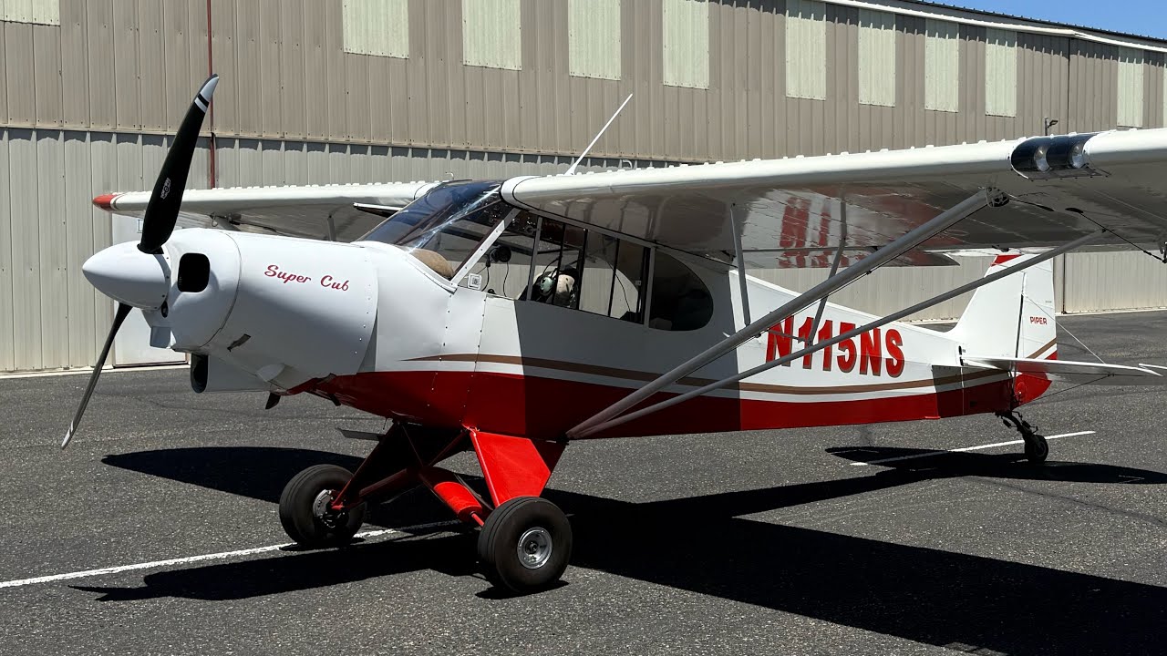 Walkaround - Piper PA-18 Super Cub - N115NS