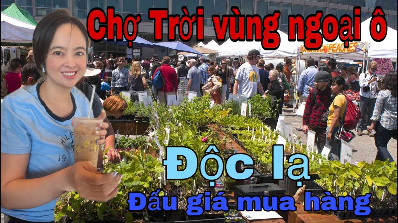 Khu Chợ Trời Vùng Nông Thôn Mỹ và Lễ Hội Thú Cưng Ở Thị Trấn Nhỏ Ngoại Ô