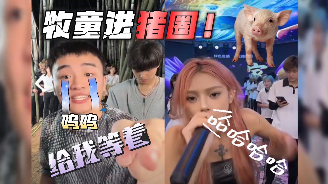 【牧童 VS 康琴枝 | 第三场】牧童落败，猪圈直播誓要绝地翻盘 #牧童 #和平精英