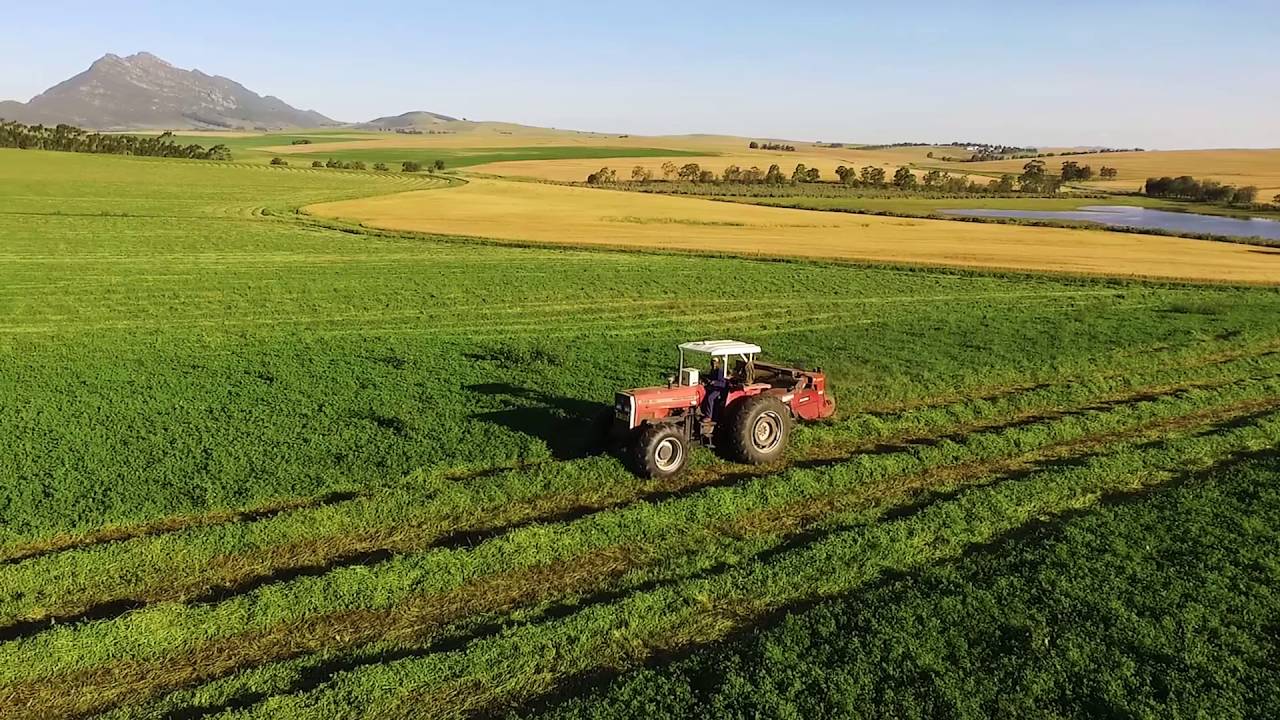 Farm in Malmesbury Western Cape South Africa.
