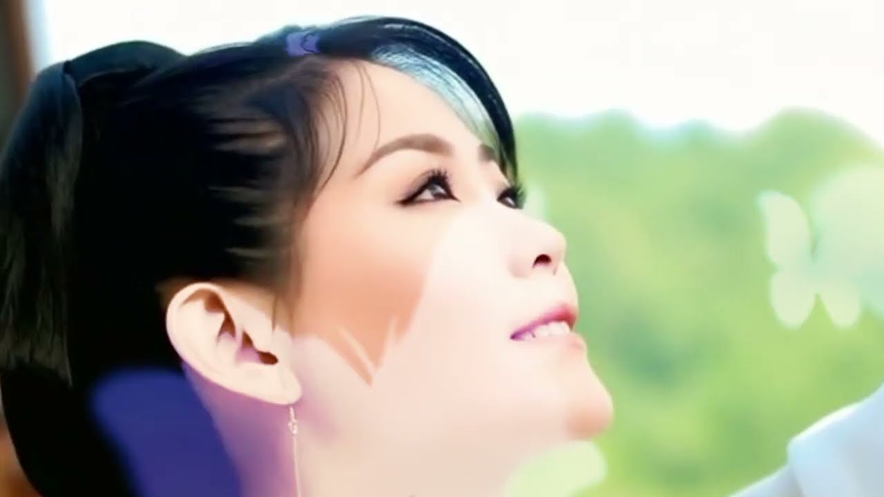《双飞蝶》