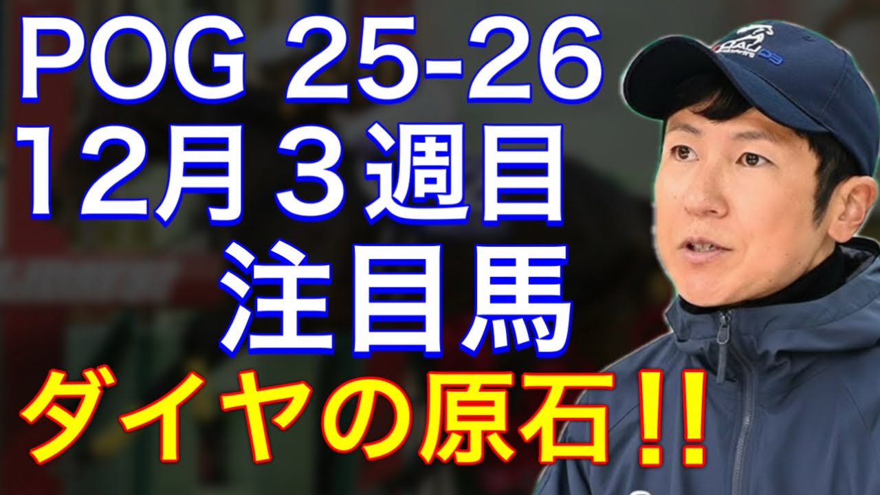 【POG/25&minus;26】12月3週目デビューの注目新馬を紹介【ダイヤの原石‼️キタサン牝馬のプラウディッツに注目！】