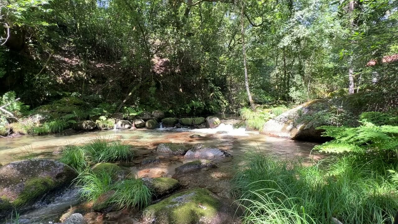 Water sound, C&aacute;vado River 1hr loop