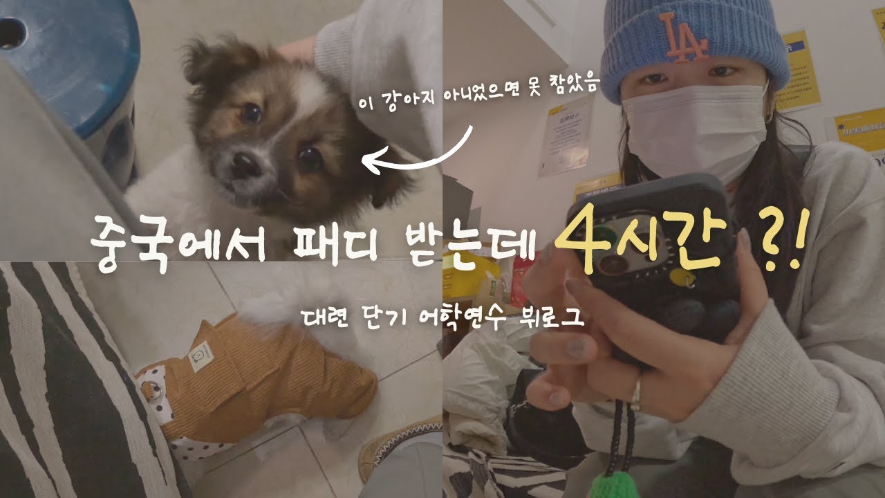 중국 네일샵에서 4시간?! 귀여운 강아지 덕분에 참았지요 🐶💅 | 대련 단기 어학연수 브이로그