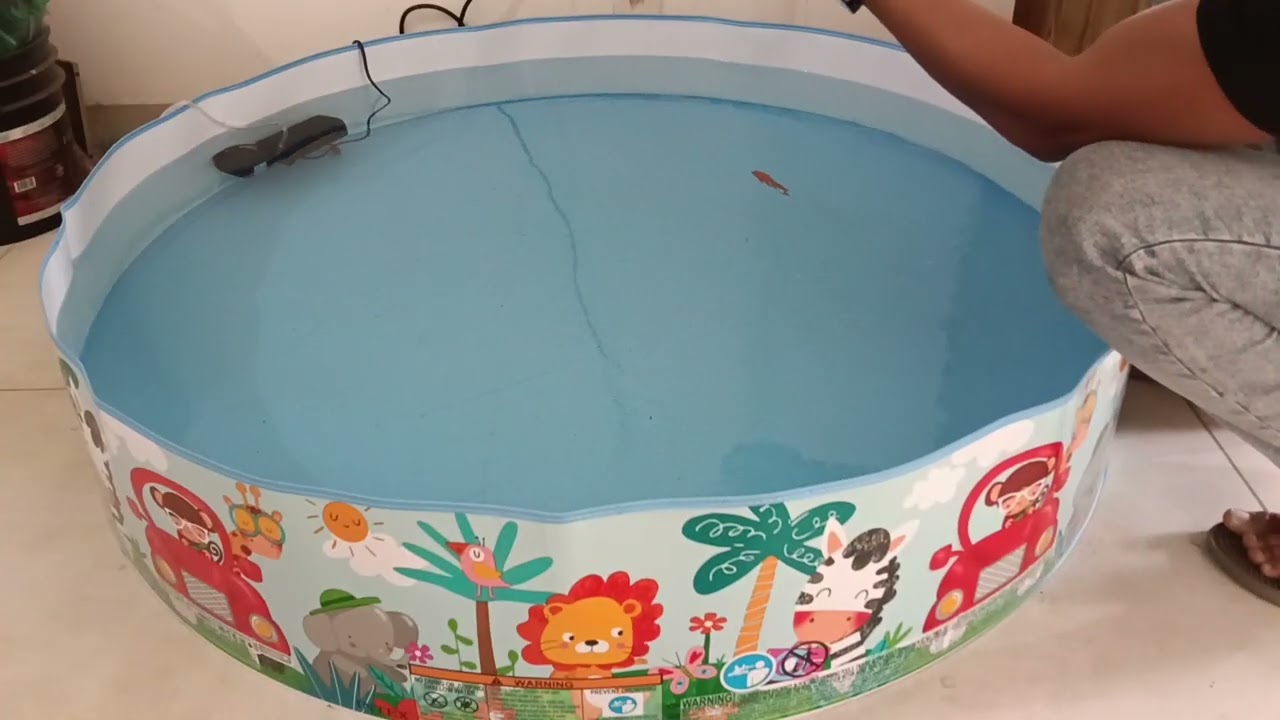 New Fish for My Indoor Fish Pond