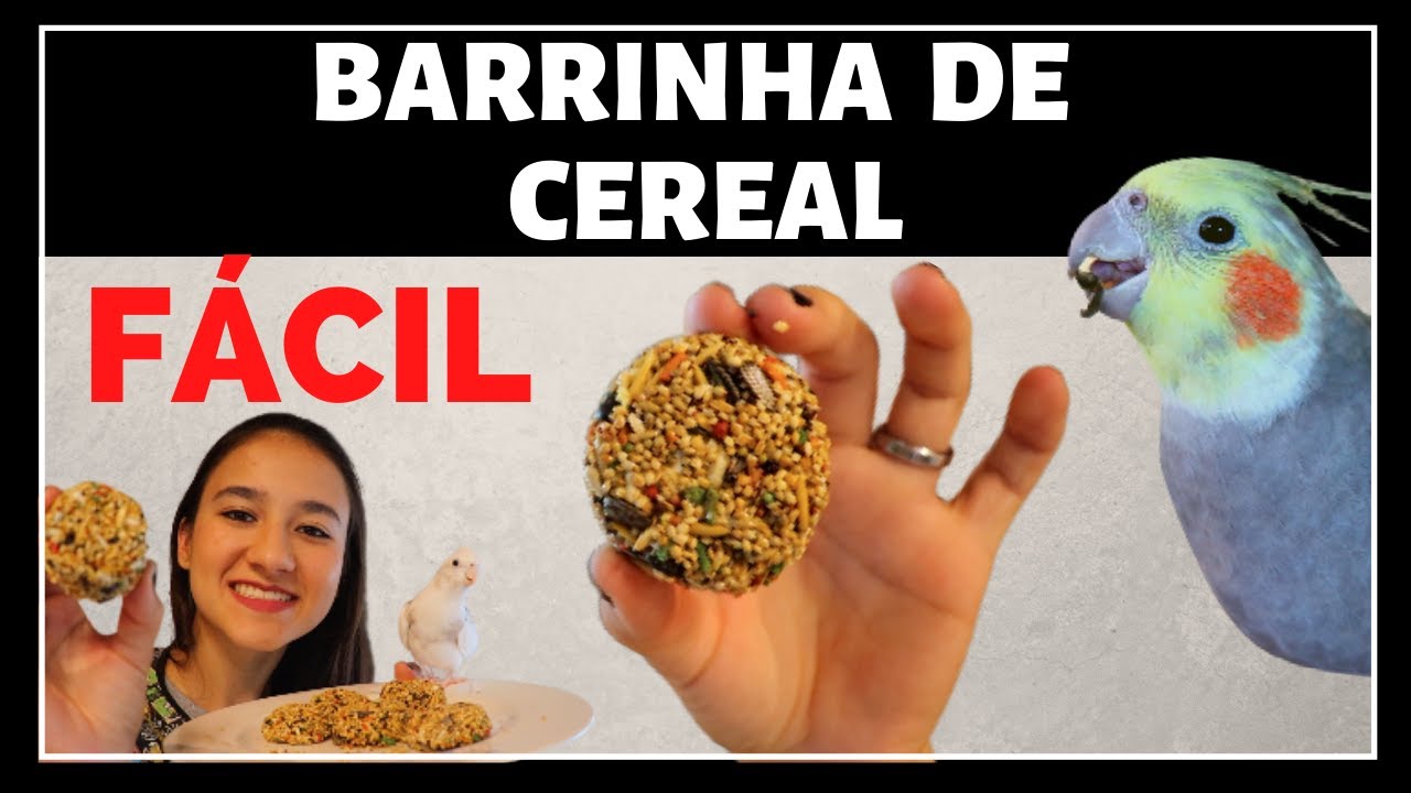 COMO FAZER BARRINHA PARA CALOPSITA / BARRINHA DE SEMENTES