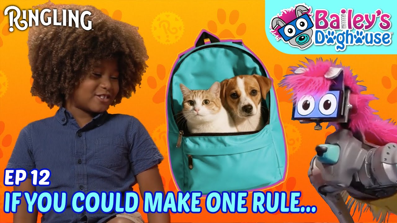 One Rule for Everyone? Bailey Circuit Asks the BIG Question! 🤖🐶