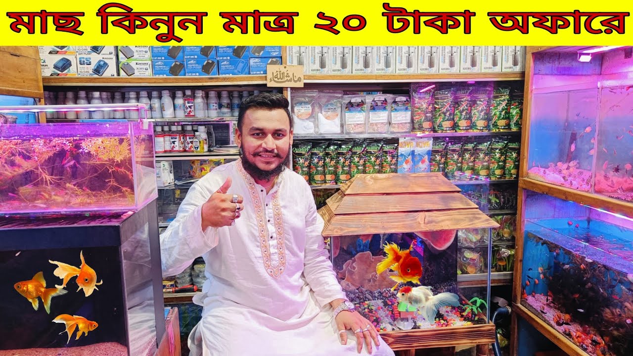 Aquarium Fish Price In katabon 2026|🐠🐠 Aquarium Fish Price | Aquarium | AR Rahman aquarium🐠🐠