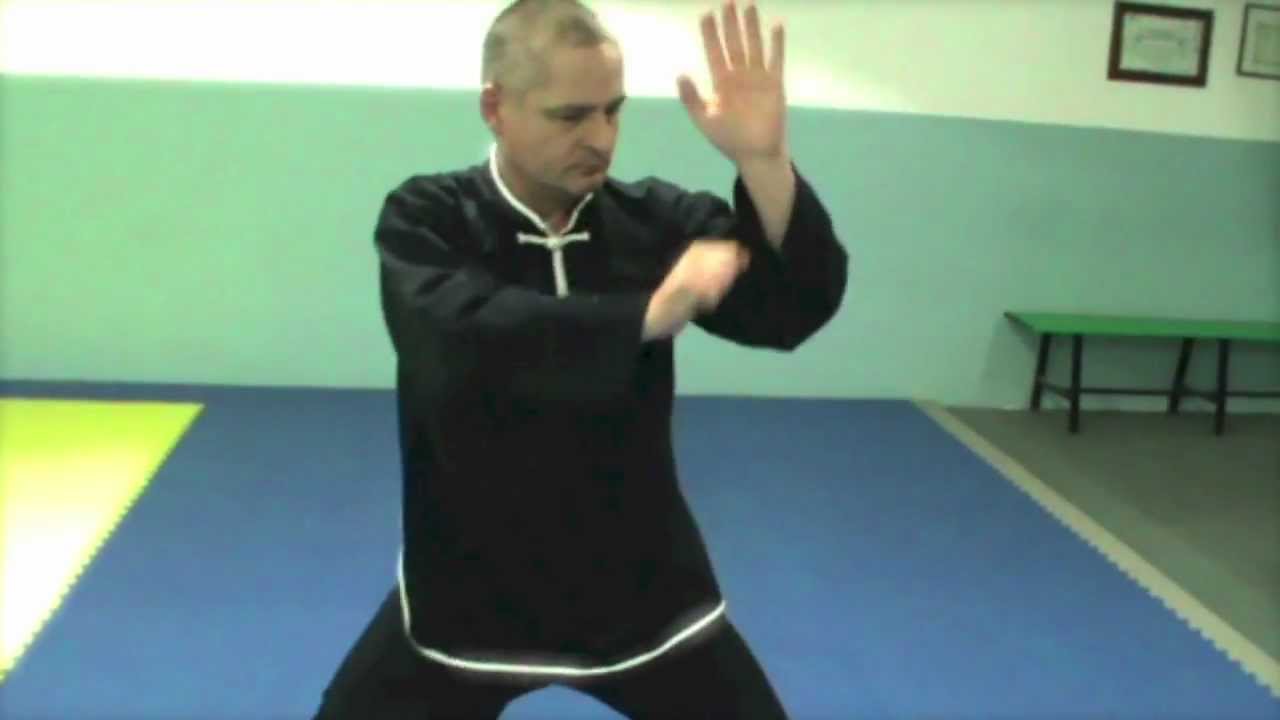 Tai Ji Quan Volpiano - Hara Kai Video (Eng)