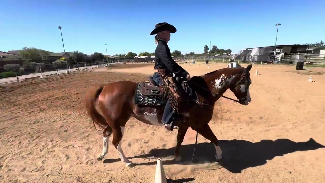 USNDC National Finals, Entry #6165, Celebrity Apprentice AA-INT1-A, Intro Test 1
