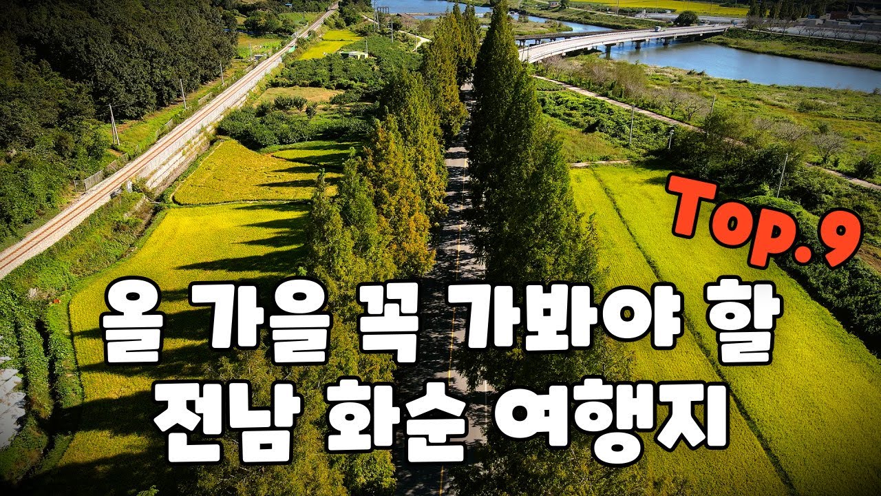 아이들과 가기 좋은 가을 여행지 추천! 전남 화순 BEST9 (feat.가을꽃축제)
