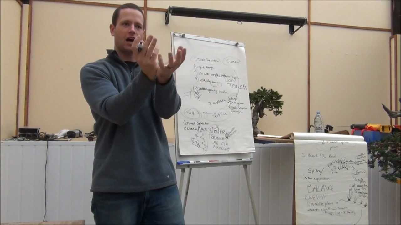 Ryan Neil Lecture on Pines Part 1