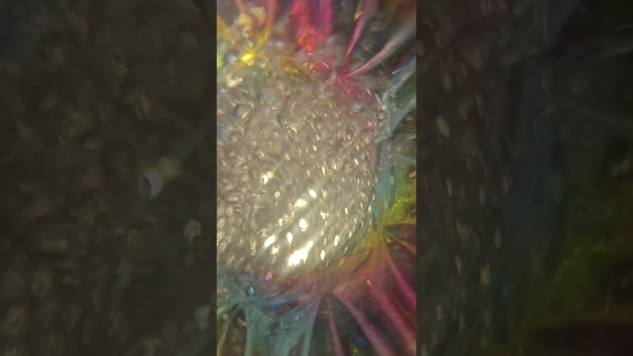 #asmr #water #sound #satisfying #shorts #fypシ゚viral
