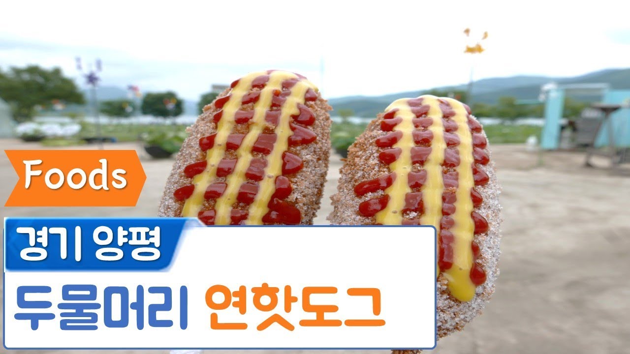전참시 핫도그 두물머리 연핫도그 Korean Street Food Lotus Leaf Hotdog