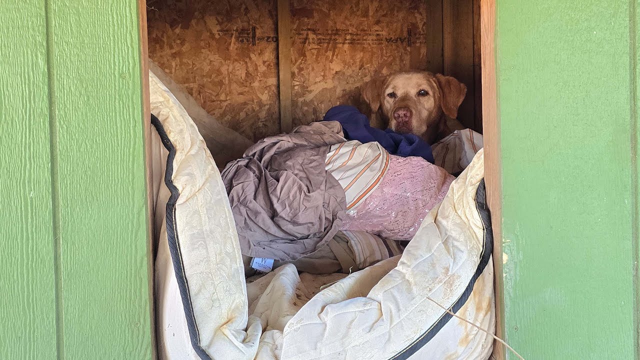 Farm Chores & Living Our Best Life!