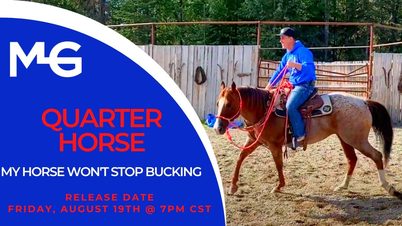 My Horse Won't Stop Bucking | The Horse Guru - Michael Gascon