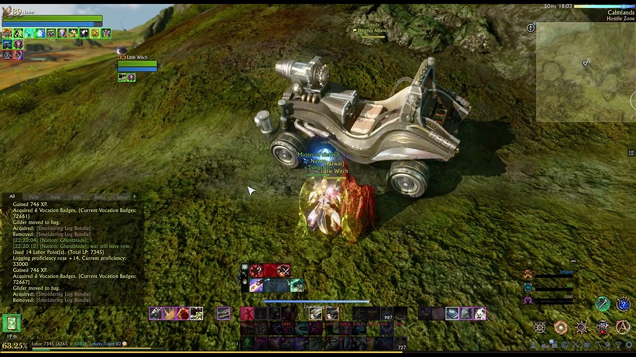 ArcheAge Regrade Brazier in Sungold Fields and smoldering logs from Calmland