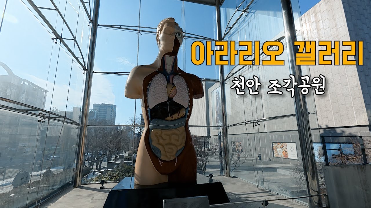 천안 아라리오 갤러리🎨 | 밤통이 아저씨 브이로그