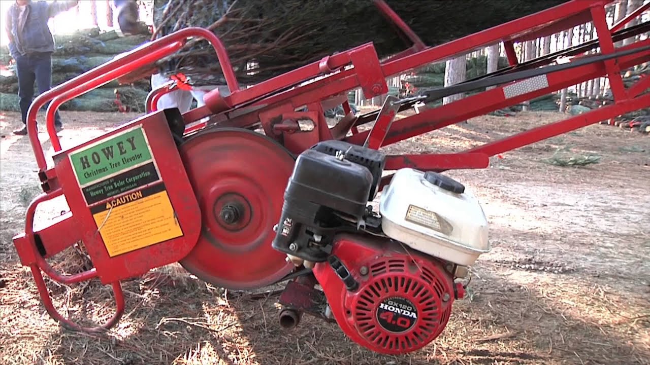 Christmas Tree Harvest at Dutchman Tree Farms