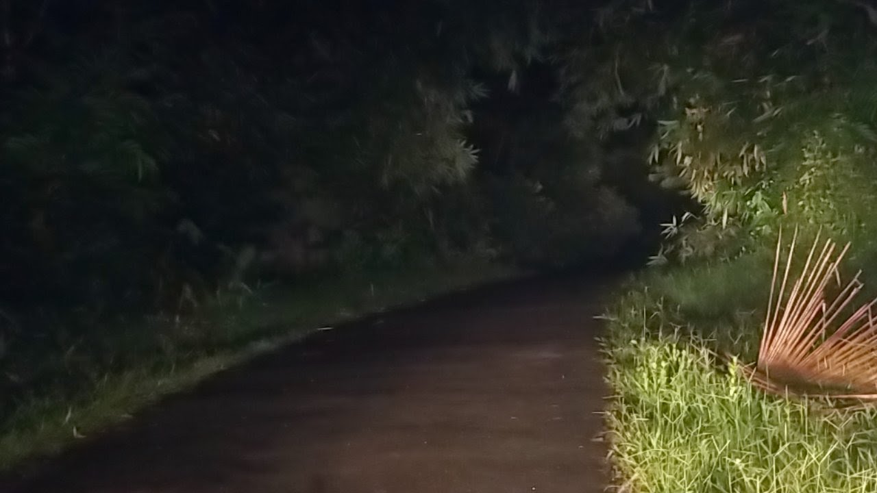 Tilik Rumah Kosong tengah malam keluar hantunya ngejar  sampe keperkampungan warga