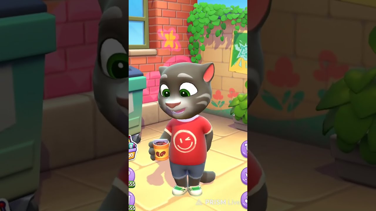 My Angela talking toomm #talkingtomcat #cat #live #shortfeeld #liveshorts #short