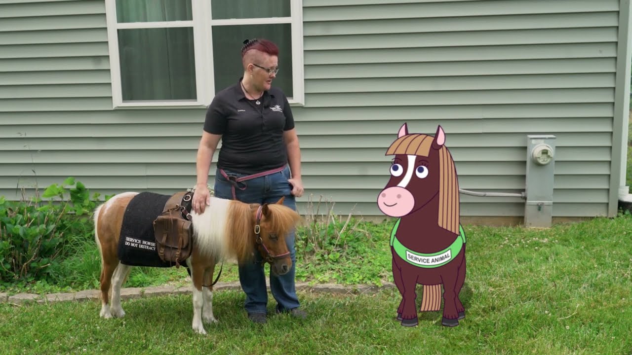 Mini Service Horse Part 1: ADA Animated School Series