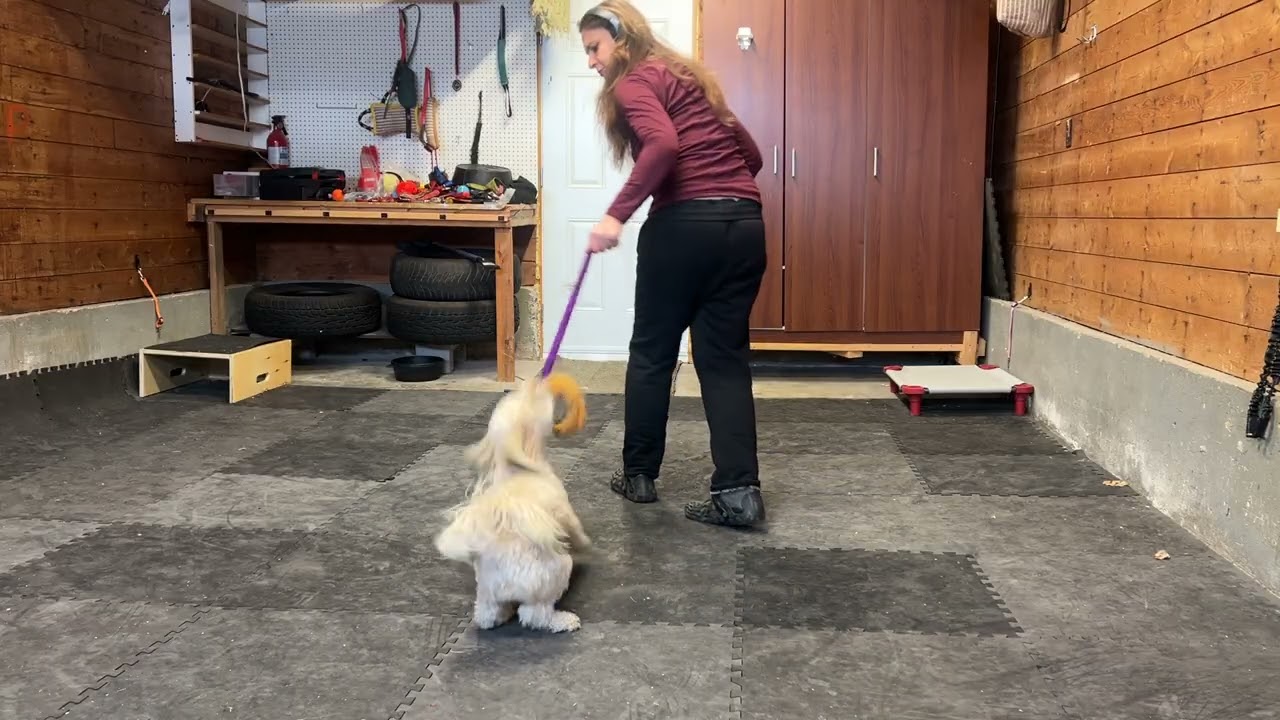 Play time with Louie