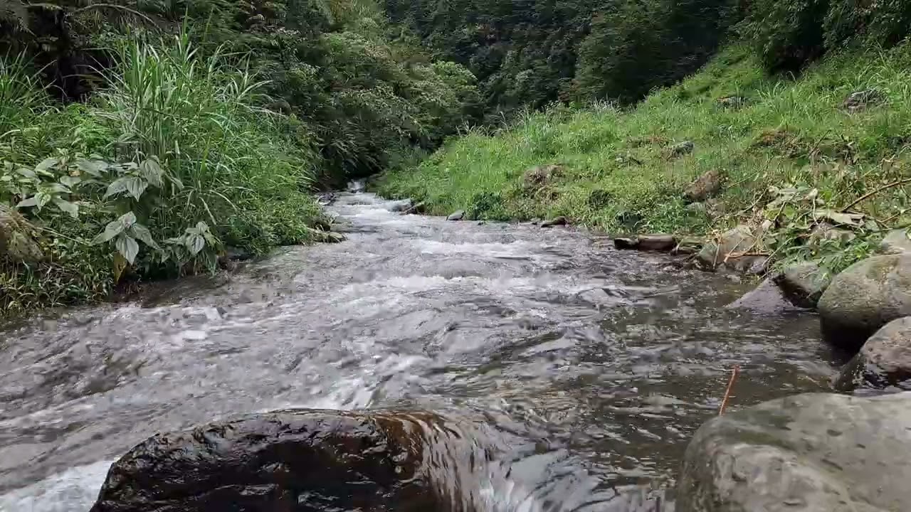 Deep Sleep in 30 minutes I Relaxing Mountain River Sounds