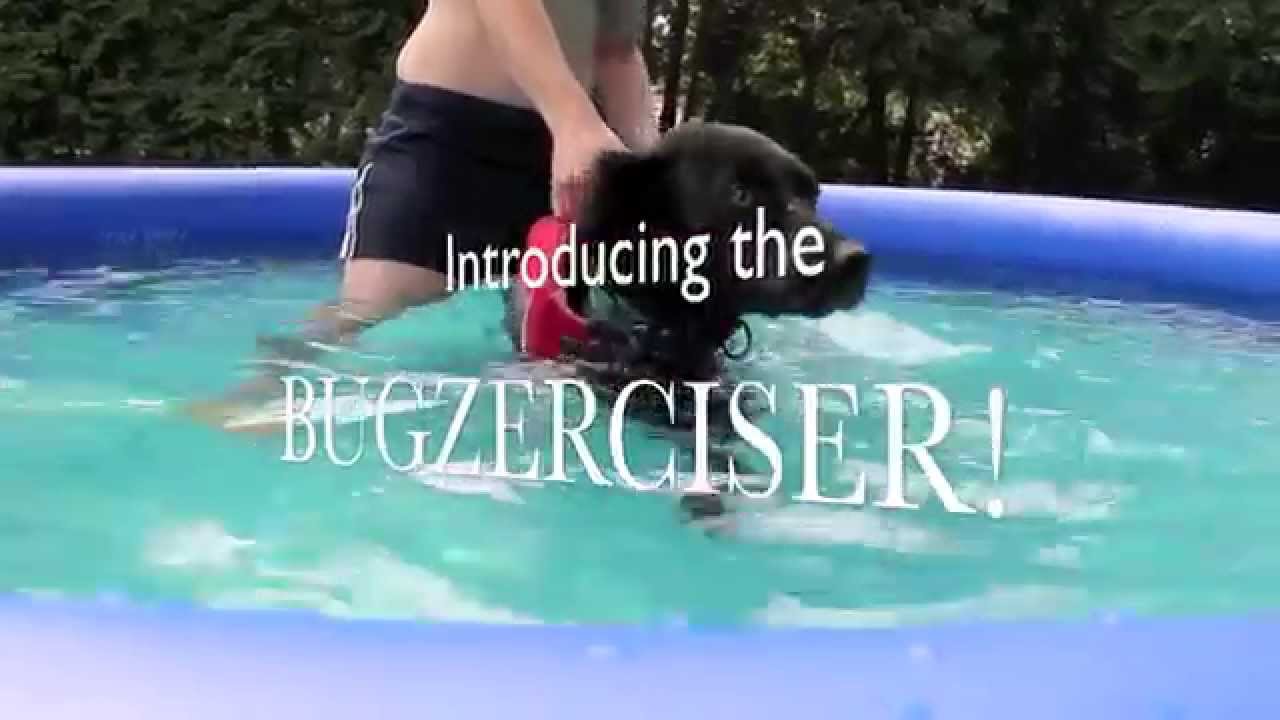 Swimming a Bug to Prepare for Hip Dysplasia Surgery: The Bugzerciser