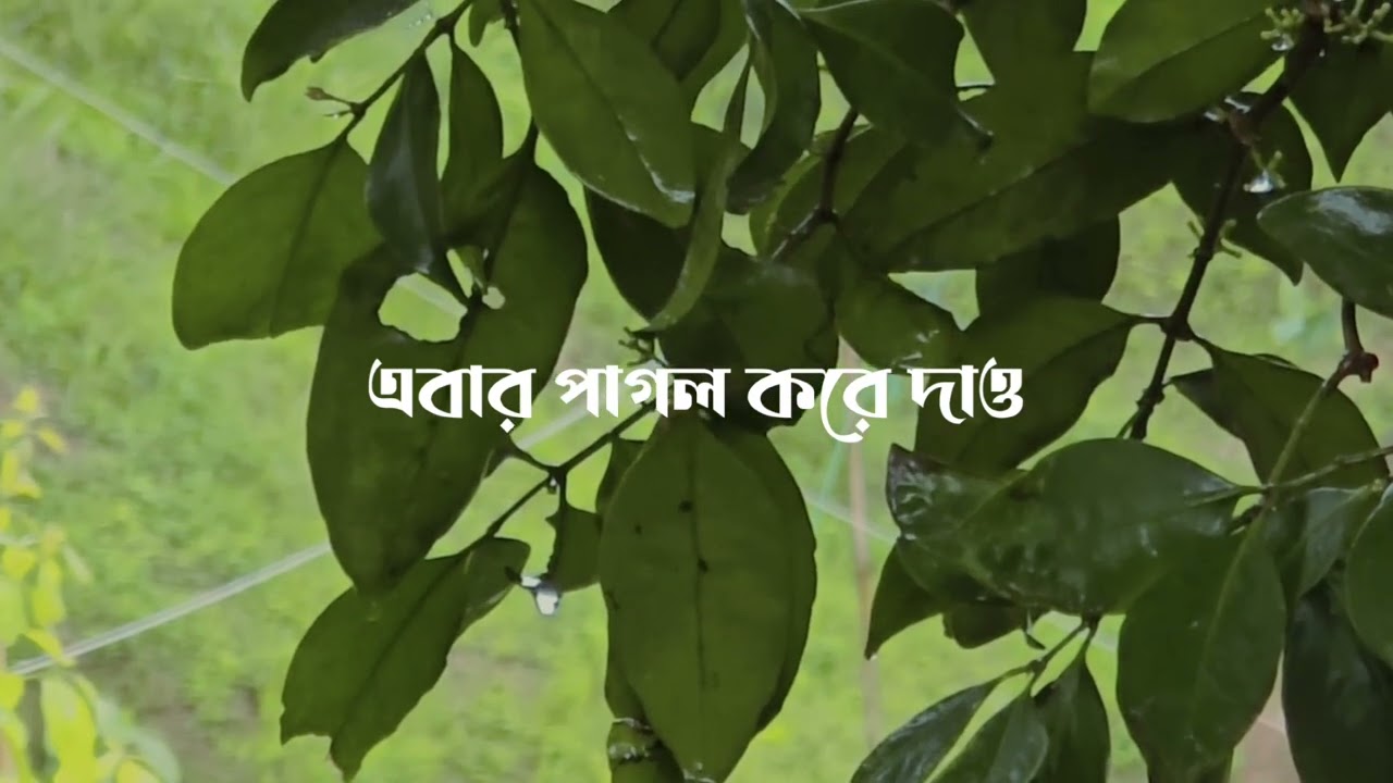 বৃষ্টির দিনে সিলেট দেখতে কেমন? #sylhet #rainyseason #travel #bangladesh #nature #viral 