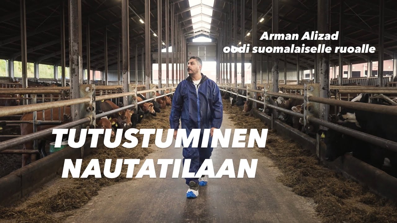 Arman tutustuu nautatilaan, pukeutuu haarniskaan ja vierailee Atrian tehtaalla