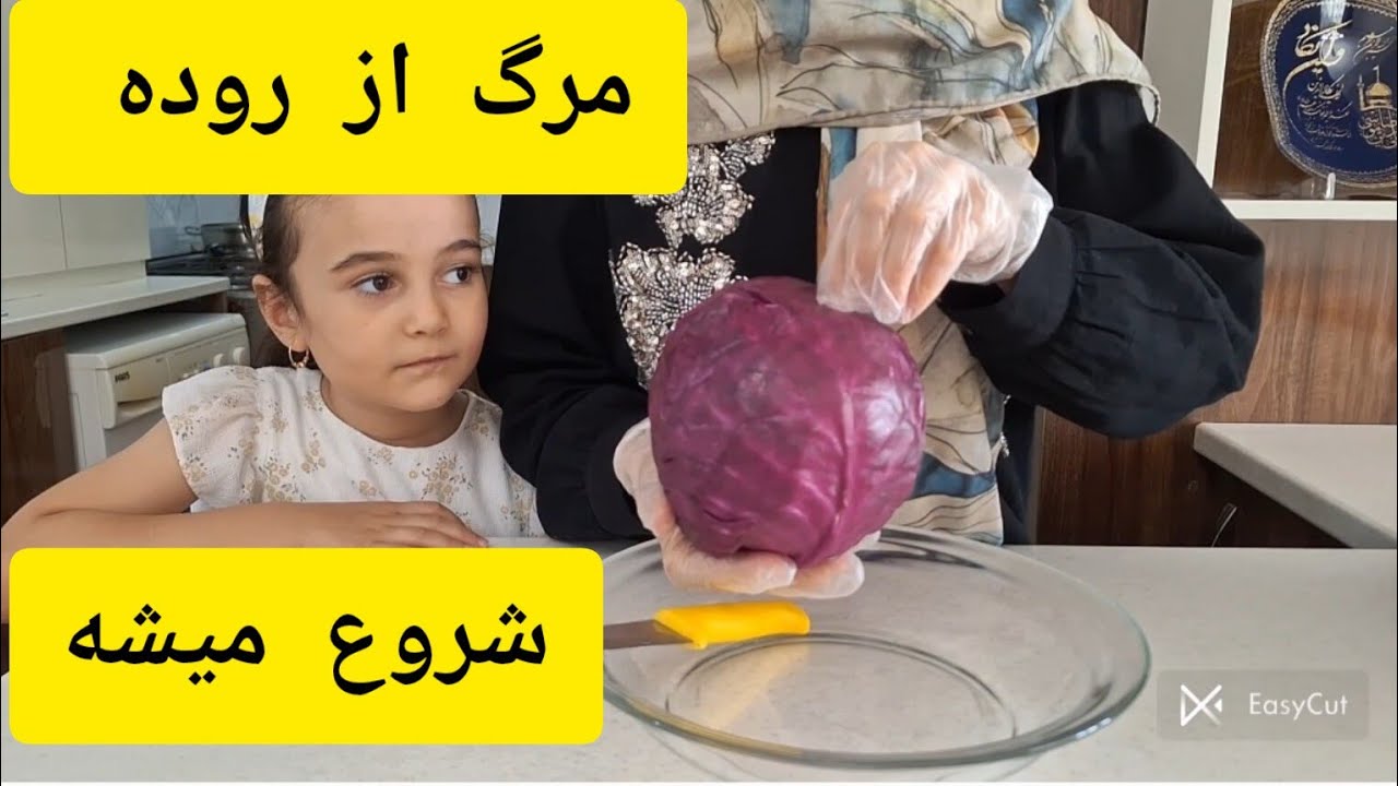 کلم رو ریزه خرد کن از نتیجه اش شگفت زده میشی  :آموزش  تولید پروبیوتیک برای روده ها