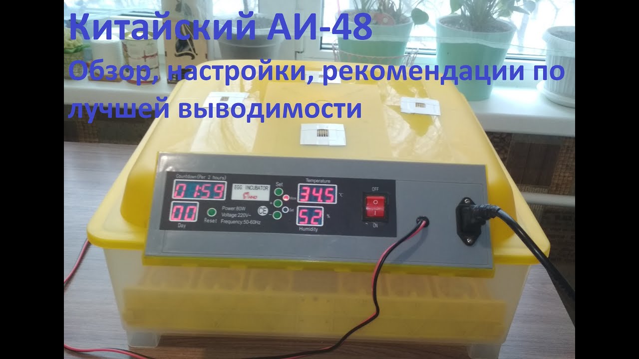 Инкубатор АИ-48. Обзор, настройки, рекомендации по лучшей выводимости.