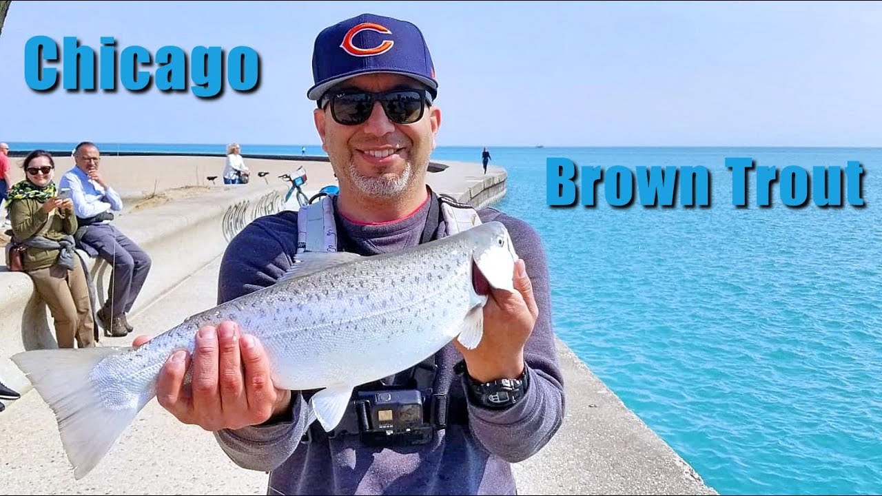 Chicago Fishing, Brown Trout, Spring 2022