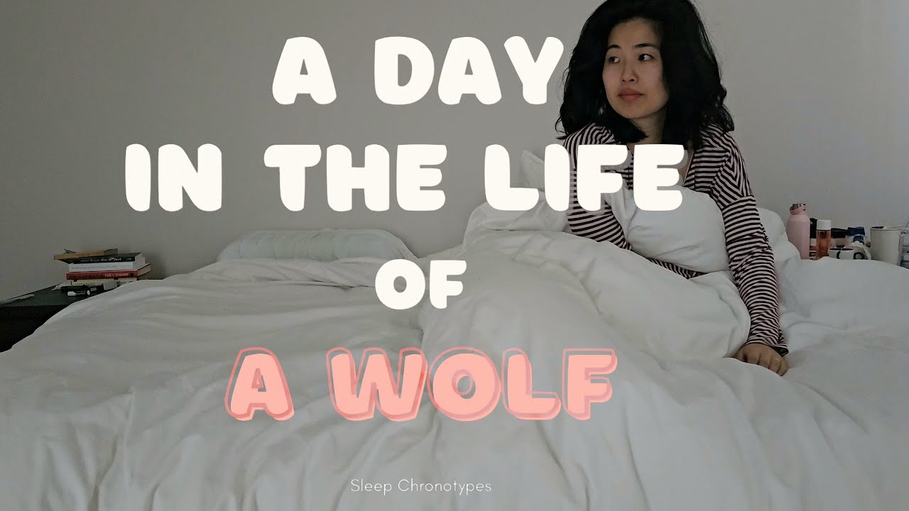 Living a day in my life as a wolf (sleep chronotypes )
