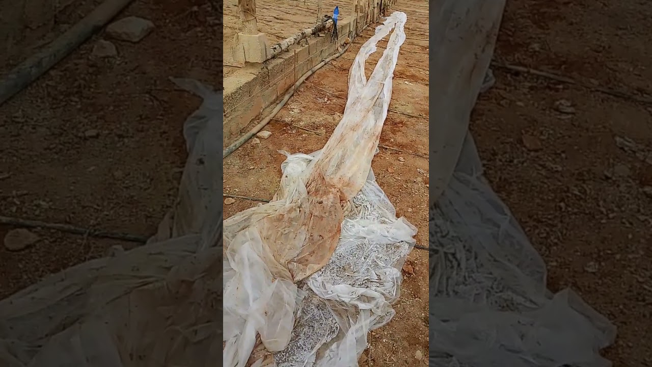 Desmantelando la finca 