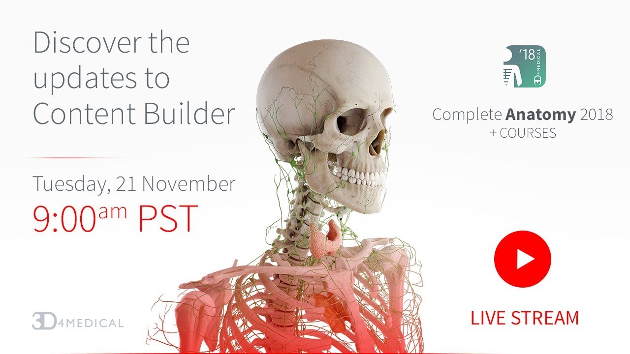 Discover the Updates to Content Builder | Live Webinar