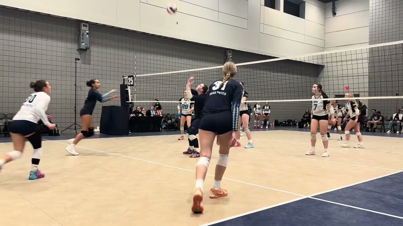 City of Oaks #27 setter in blue 