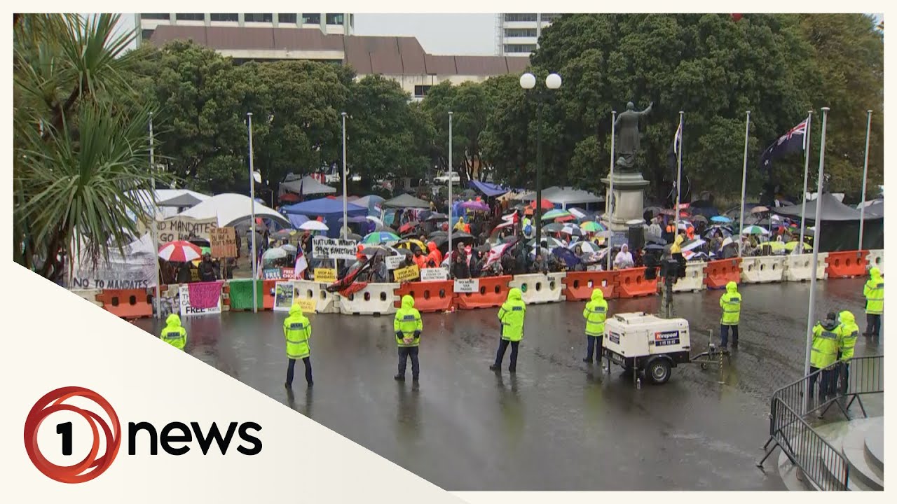 Large crowd at protests outside Parliament on Saturday despite bad weather