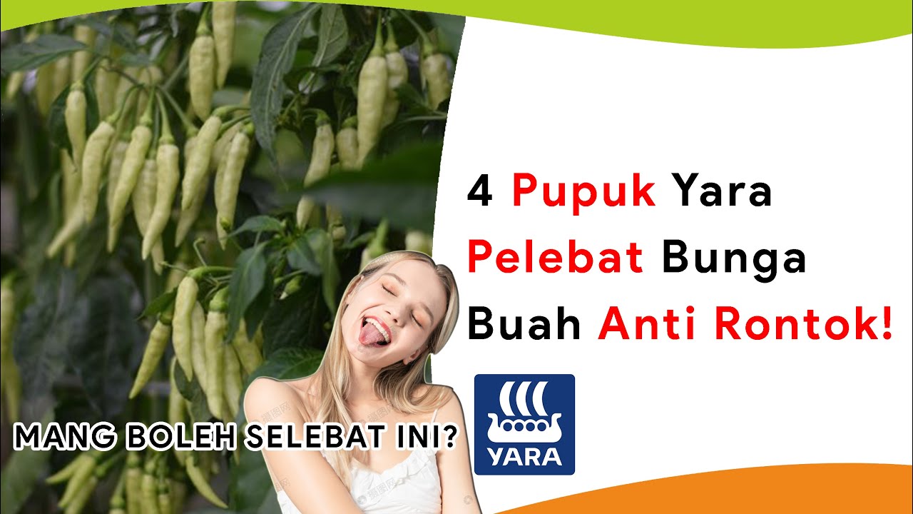 4 Pupuk Yara Pelebat Bunga dan Buah Anti Rontok!