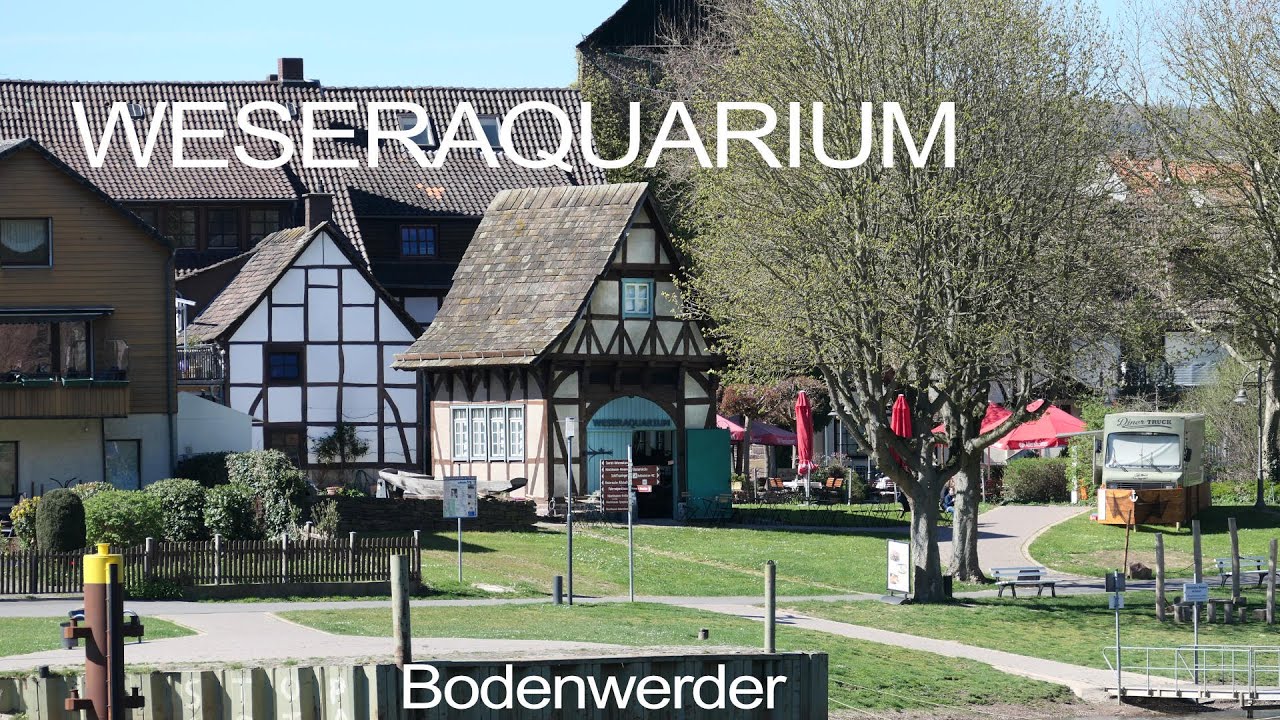 Das Weseraquarium