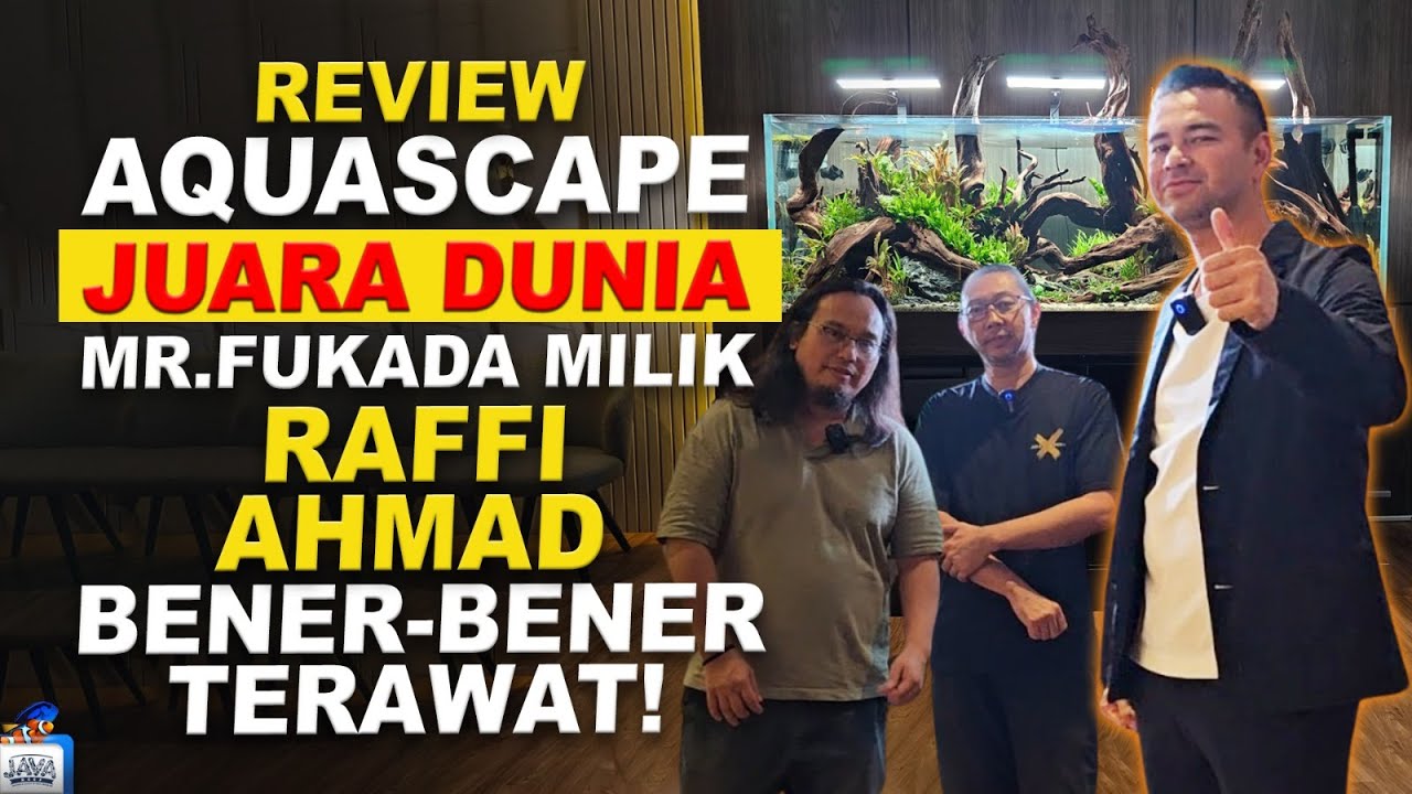 AQUASCAPE JUARA DUNIA PUNYA RAFFI AHMAD MAKIN BENING