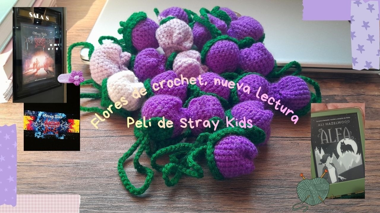 Flores de crochet, nueva lectura y peli de Stray Kids