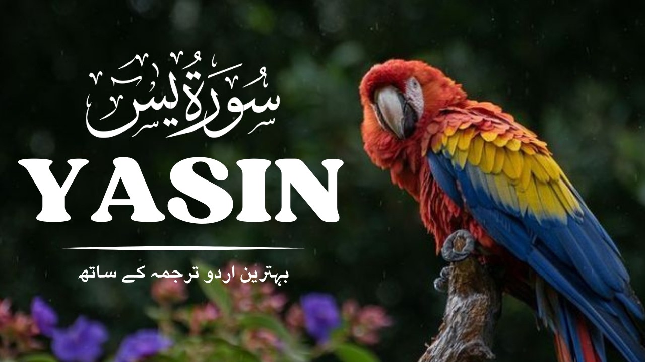 Surah Yaseen Full   Beautiful Recitation with English Translation