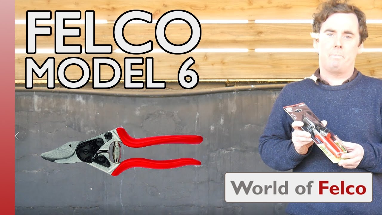 Felco Model 6 Compact Secateurs