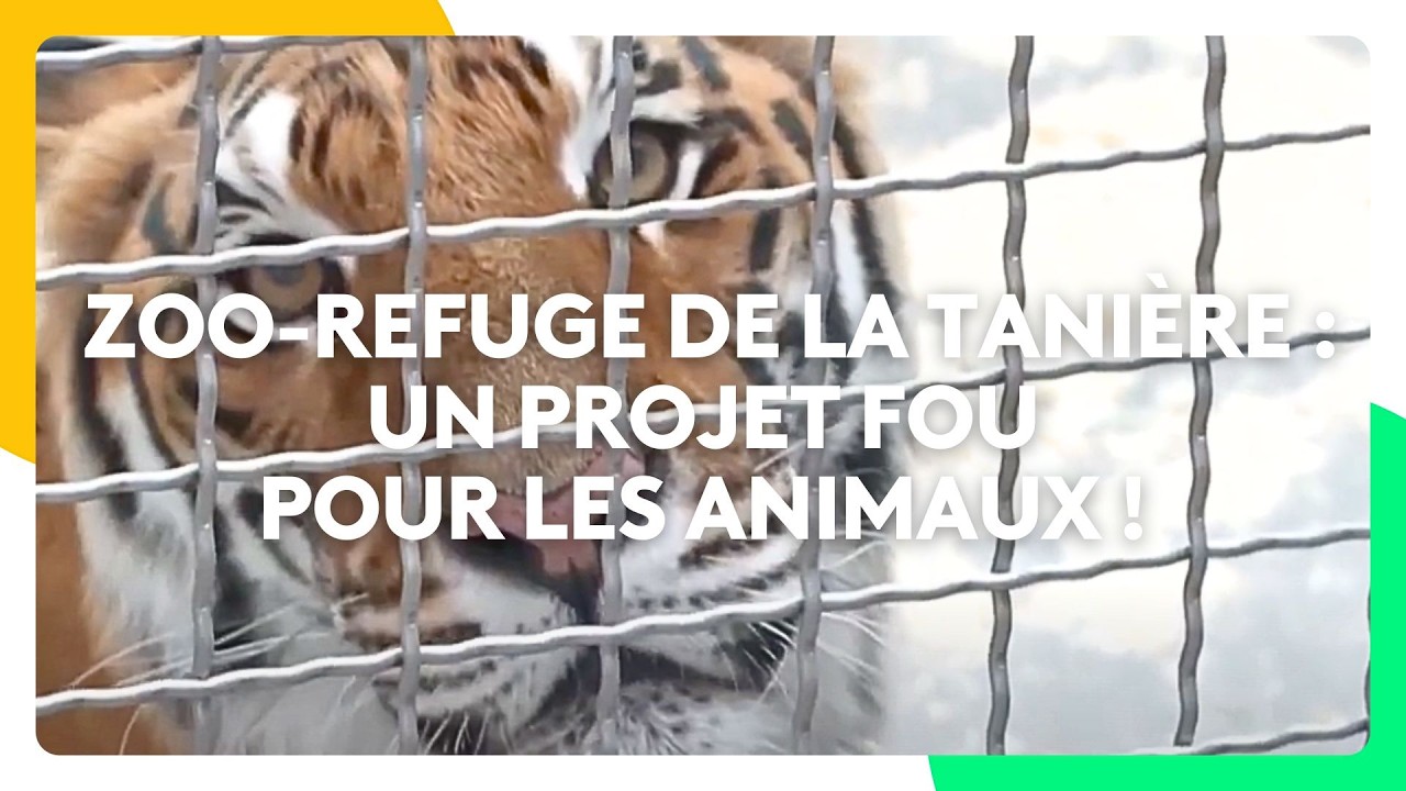 Zoo-refuge de La Tanière : un projet fou pour les animaux !