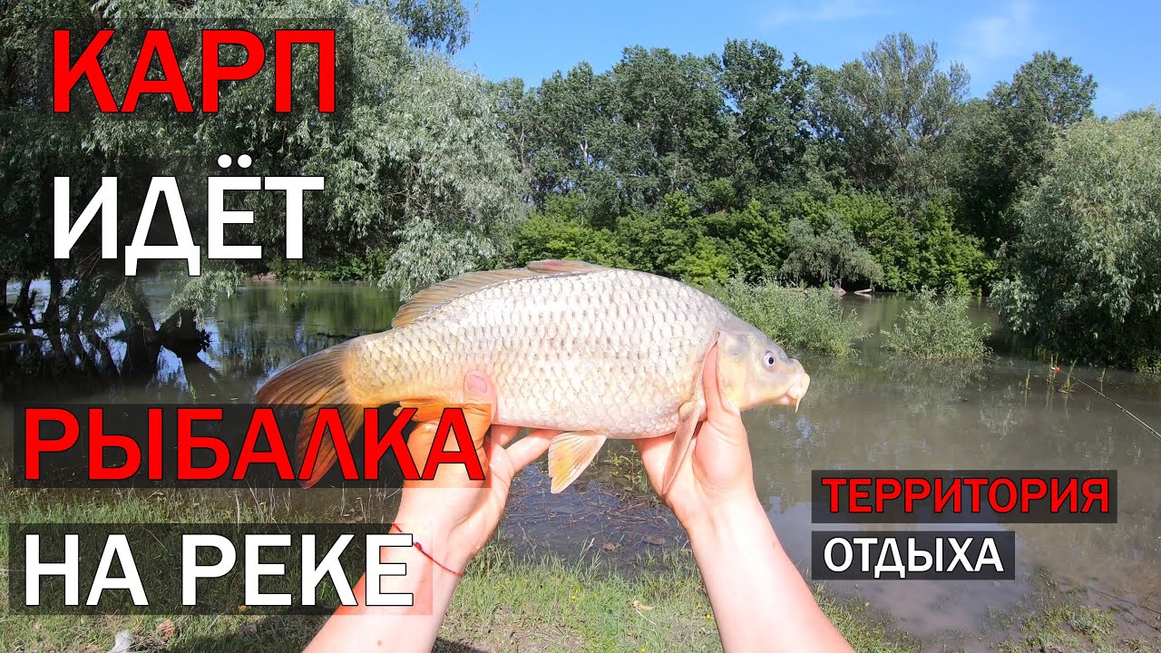 Карп Идёт,  Рыбалка на карася, Рыбалка на карпа, Рыбалка на реке Турунчук