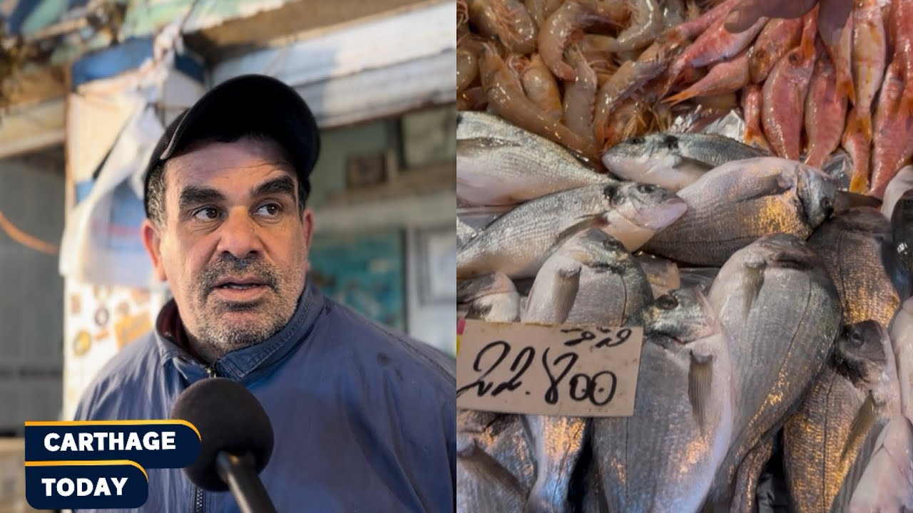 مرشي الحوت ببنزرت « حوتنا احسن حوت في العالم و معروف بجغالي »🐋🐋🐋