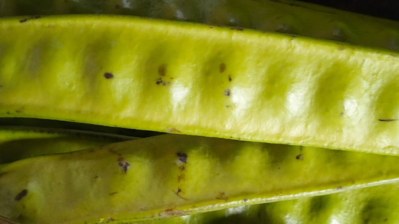 chiso chiso mausam mutu nai kamaune